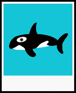 CLARA ORCA
